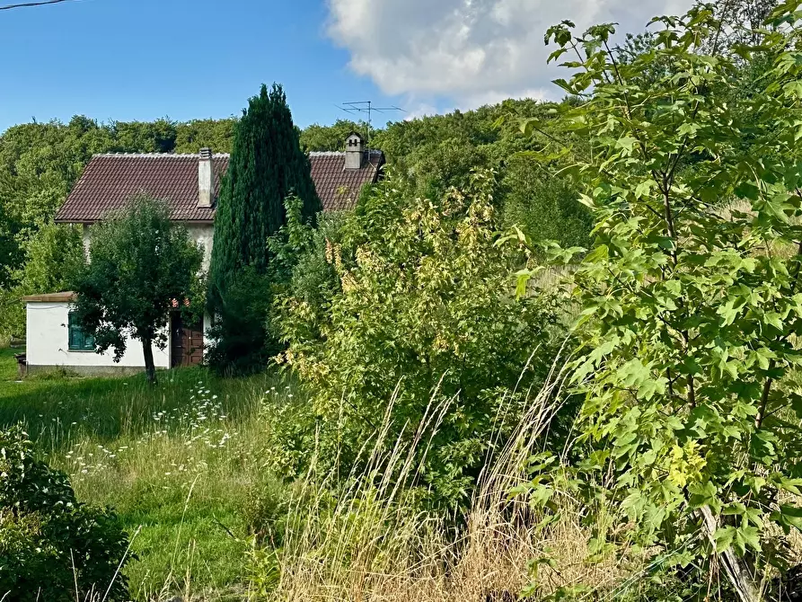 Immagine 29 di Rustico / casale in vendita  in piampaludo a Sassello