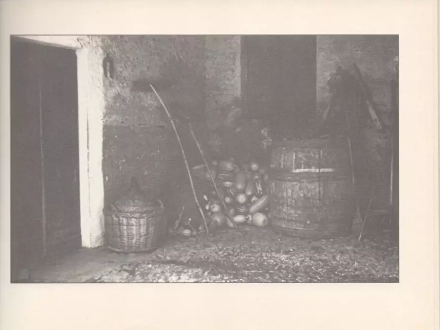 Immagine 58 di Casa indipendente in vendita  a Molare