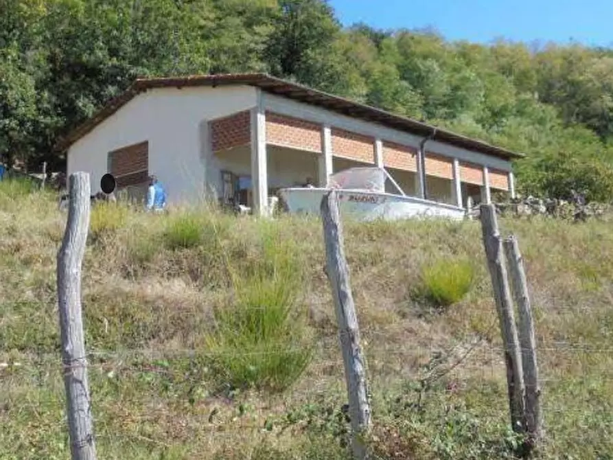 Immagine 3 di Capannone industriale in vendita  in Via Madonna delle Vigne snc a Genova