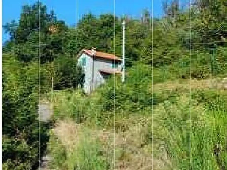Immagine 9 di Villa in vendita  in Via Dercogna 24 a Davagna