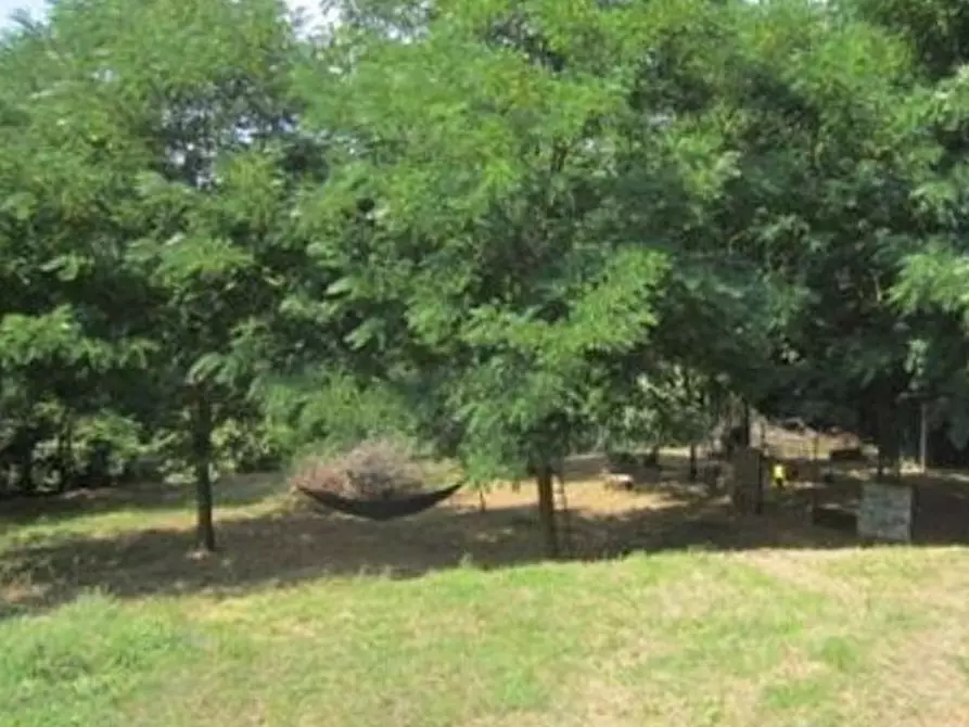 Immagine 7 di Terreno agricolo in vendita  in Via Acquasanta snc a Genova
