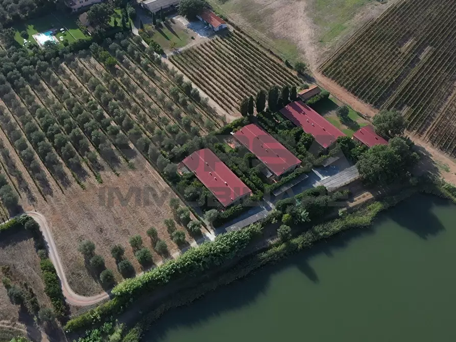 Immagine 19 di Terratetto in vendita  in greppi cupi 212 a Castagneto Carducci