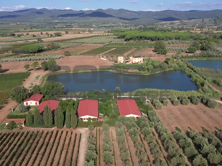 Immagine 8 di Terratetto in vendita  in greppi cupi 212 a Castagneto Carducci