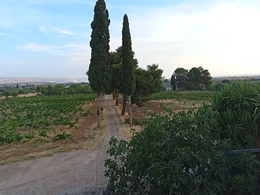 Immagine 7 di Villa in vendita  a Chiaramonte Gulfi