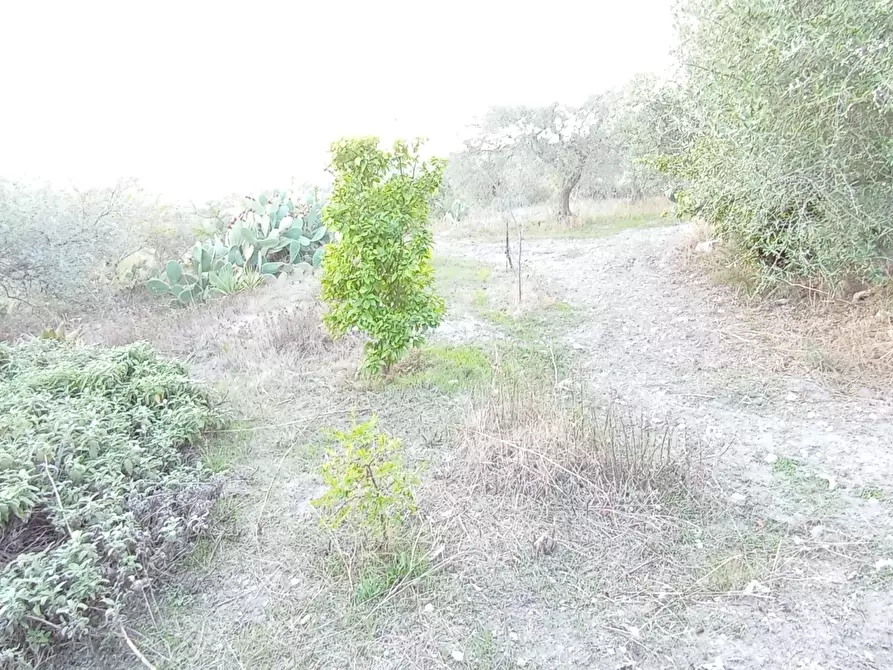 Immagine 34 di Casa bifamiliare in vendita  a Ragusa