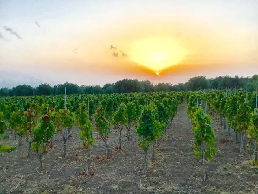 Immagine 5 di Villa in vendita  a Chiaramonte Gulfi
