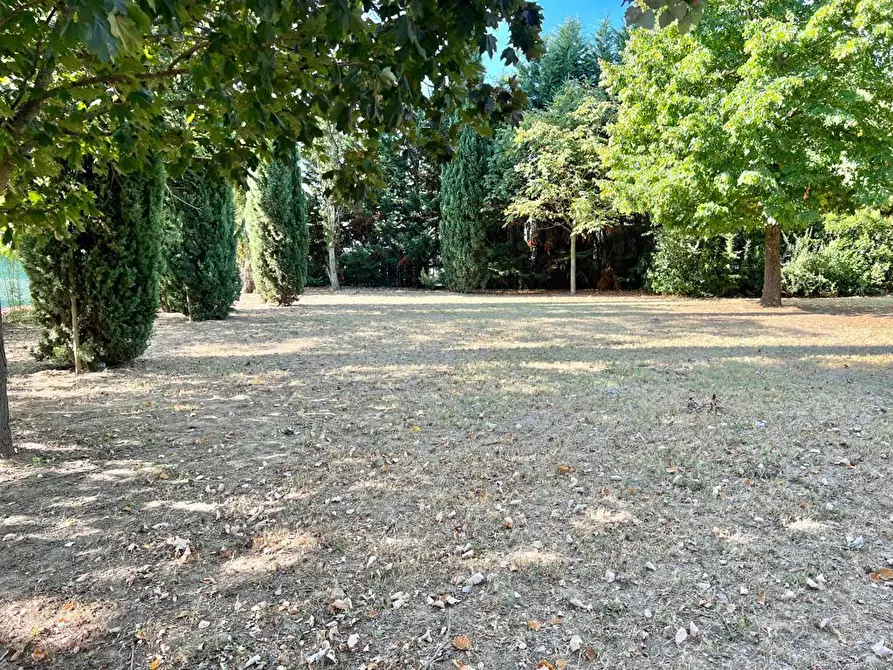 Immagine 44 di Villa in vendita  a Cesena