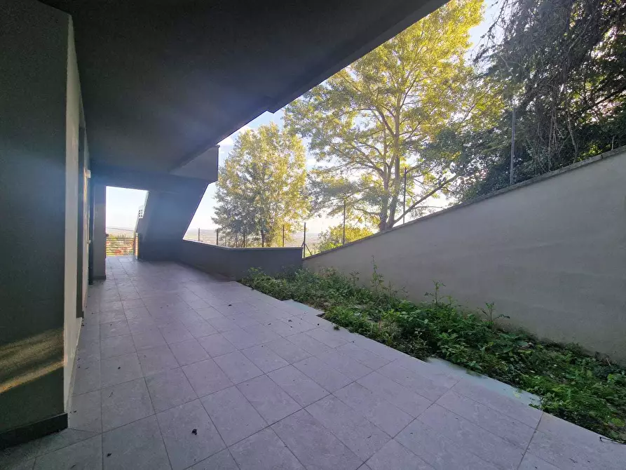 Immagine 31 di Trilocale in vendita  in Via Cantalupo 90 a Bertinoro