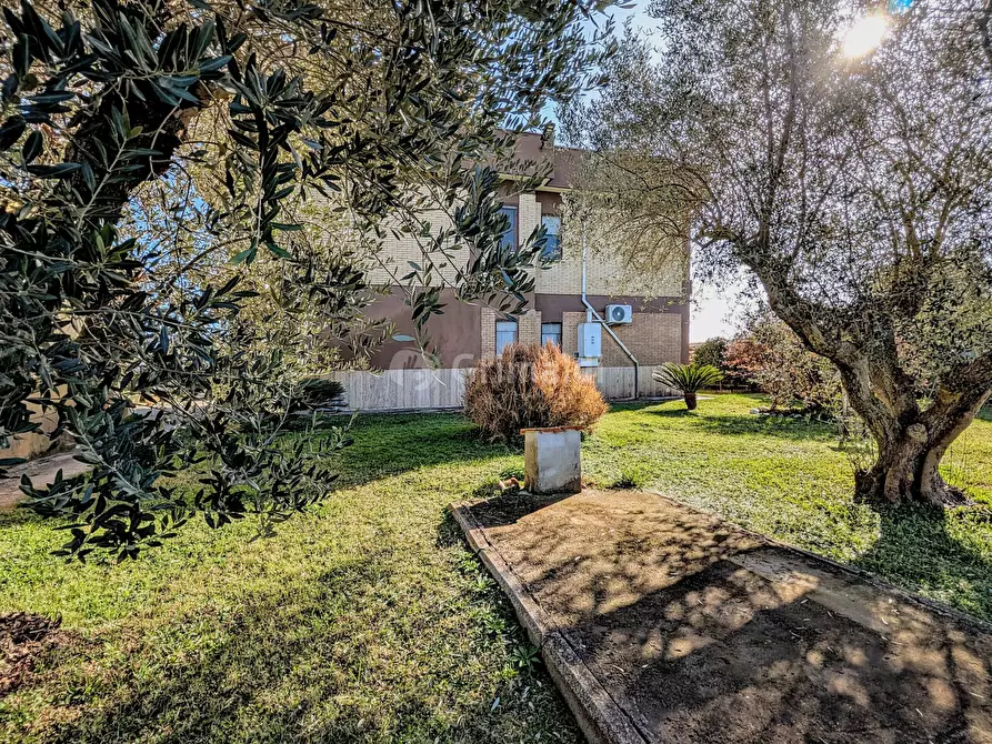 Immagine 13 di Villa in vendita  in Via Granieri 56 a Nettuno