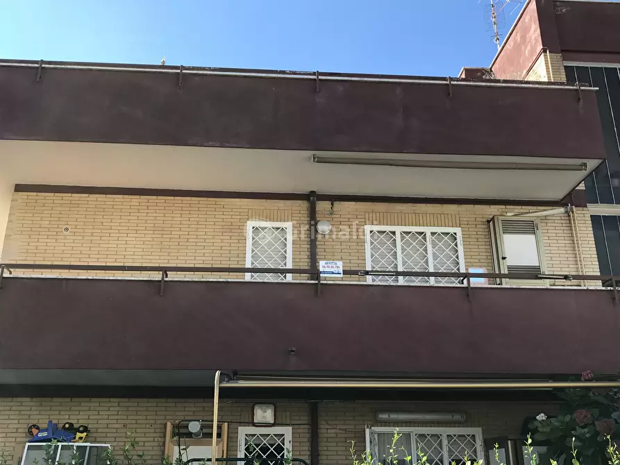 Immagine 10 di Bilocale in affitto  in Via capri 6 a Nettuno