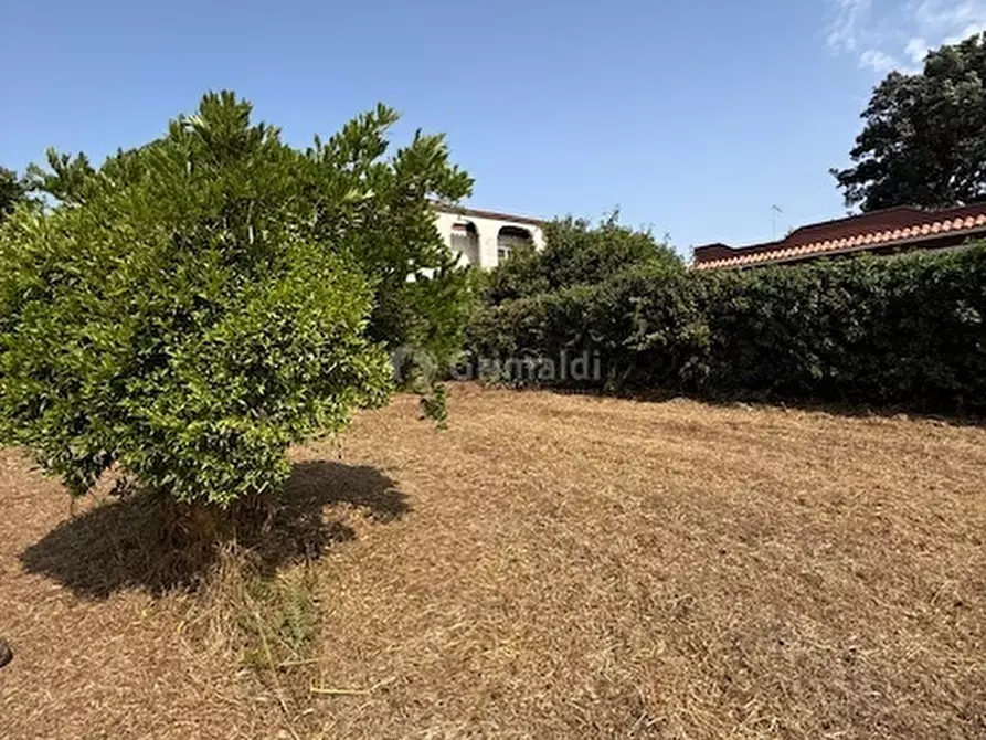 Immagine 14 di Terreno edificabile in vendita  in Via Viminale a Nettuno