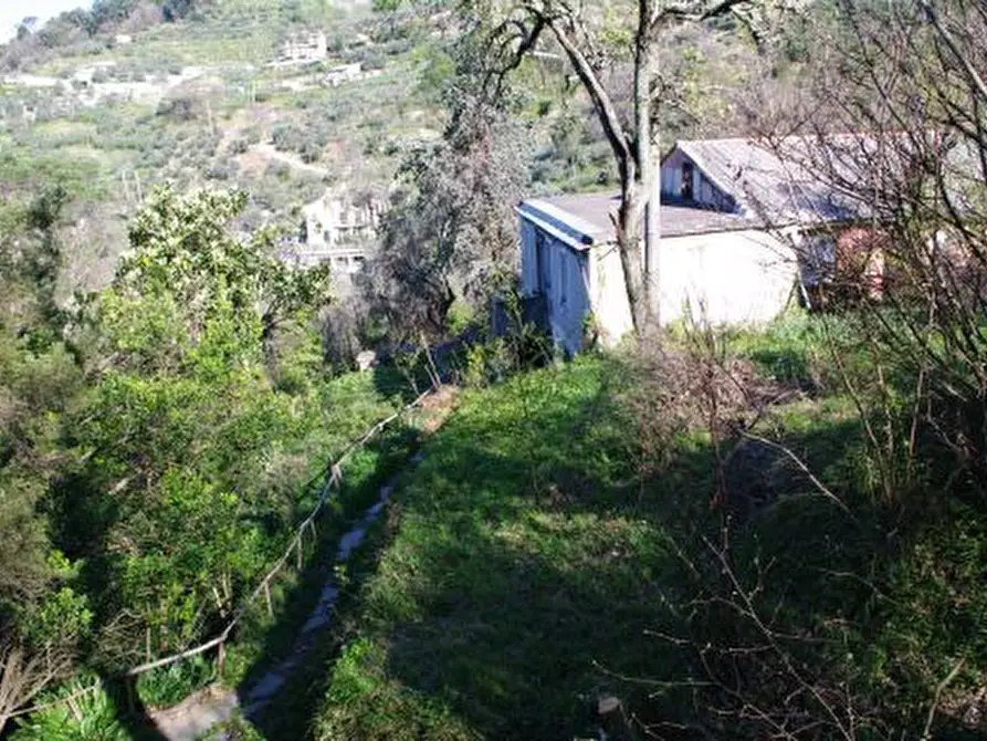 Immagine 30 di Rustico / casale in vendita  in Via dei Cogorno 110 a Cogorno