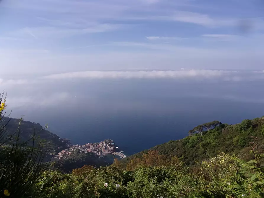 Immagine 6 di Rustico / casale in vendita  in San Bernardino a Vernazza
