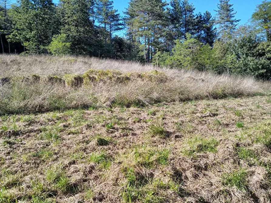 Immagine 11 di Terratetto in vendita  in Campo Benedetto 1 a Varese Ligure