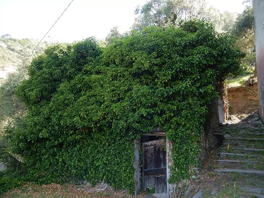 Immagine 19 di Rustico / casale in vendita  in Via Costigliolo a Cogorno