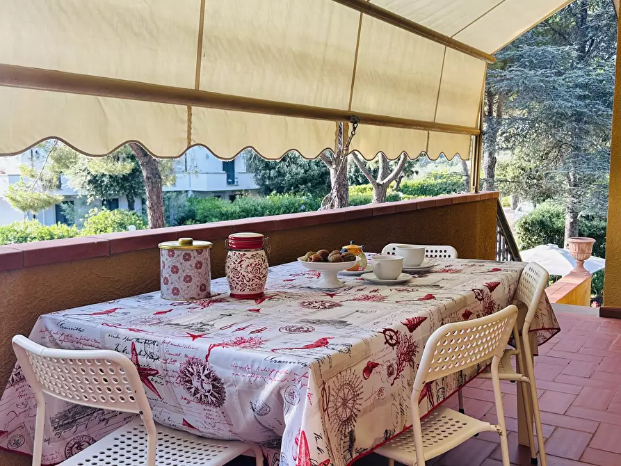 Immagine 17 di Trilocale in vendita  a Rosignano Marittimo