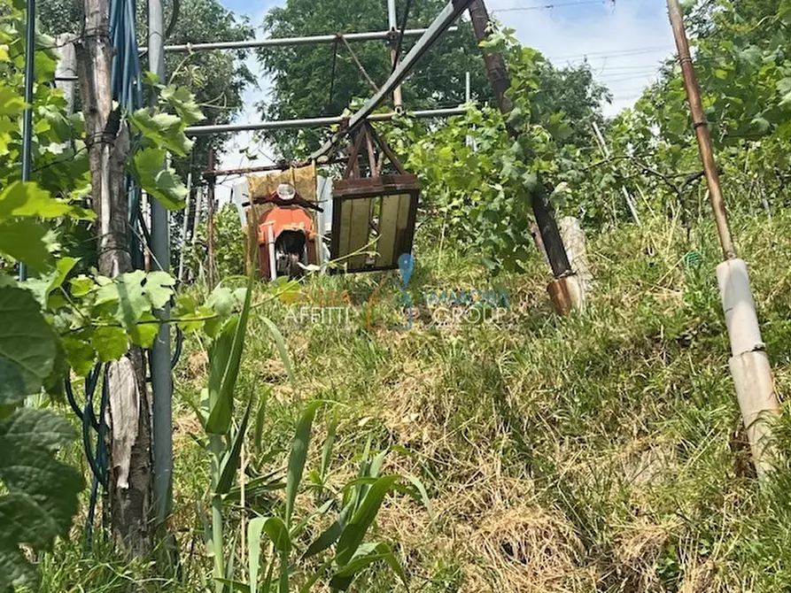 Immagine 12 di Terreno agricolo in vendita  in Viottolo Pianamaggio 1 a Massa