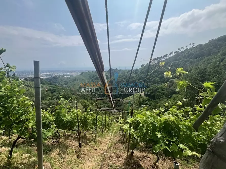 Immagine 19 di Terreno agricolo in vendita  in Viottolo Pianamaggio 1 a Massa
