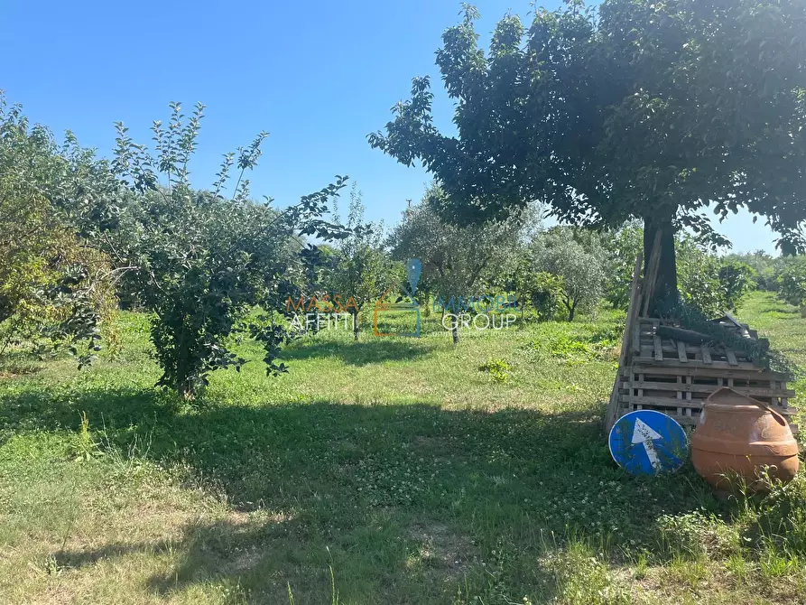 Immagine 11 di Villa in vendita  in Via Romana 11 a Pietrasanta