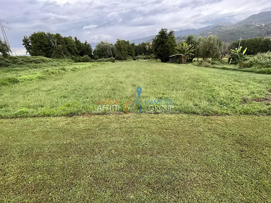 Immagine 13 di Terreno agricolo in vendita  in Via Nespolo 43 a Montignoso