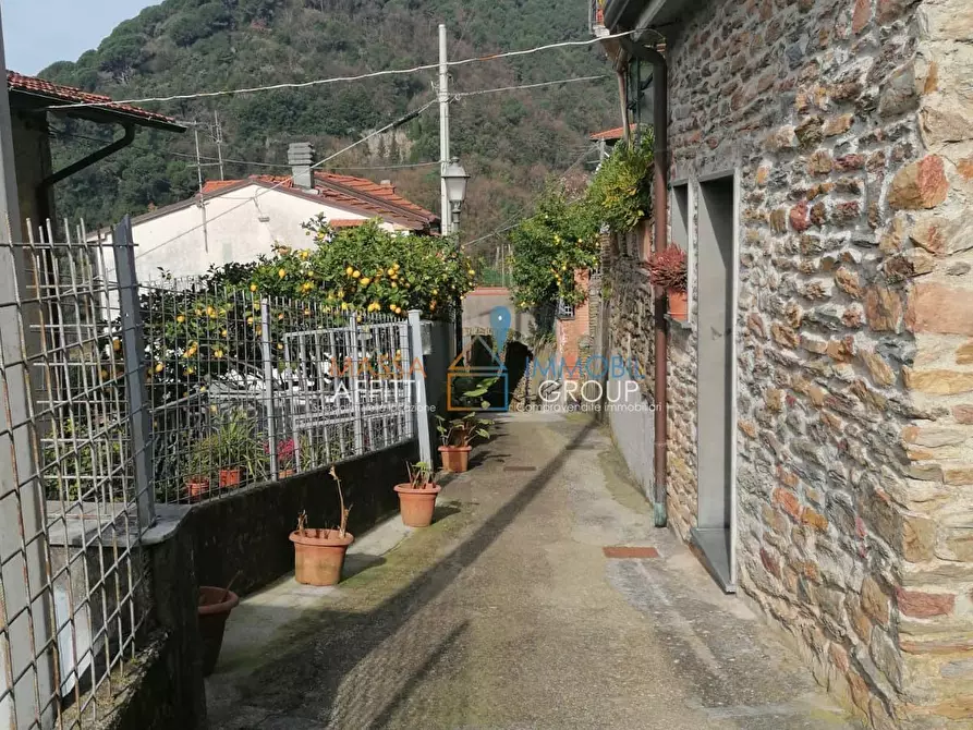 Immagine 22 di Villetta a schiera in vendita  in Via Bergiola 109 a Massa