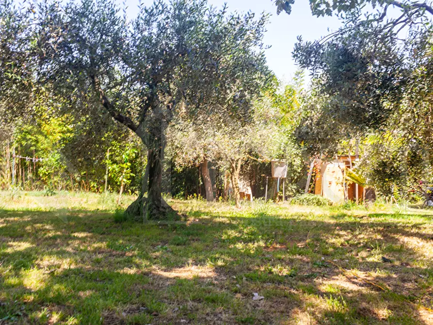 Immagine 10 di Terreno agricolo in vendita  in Via dell'Uliveta a Livorno