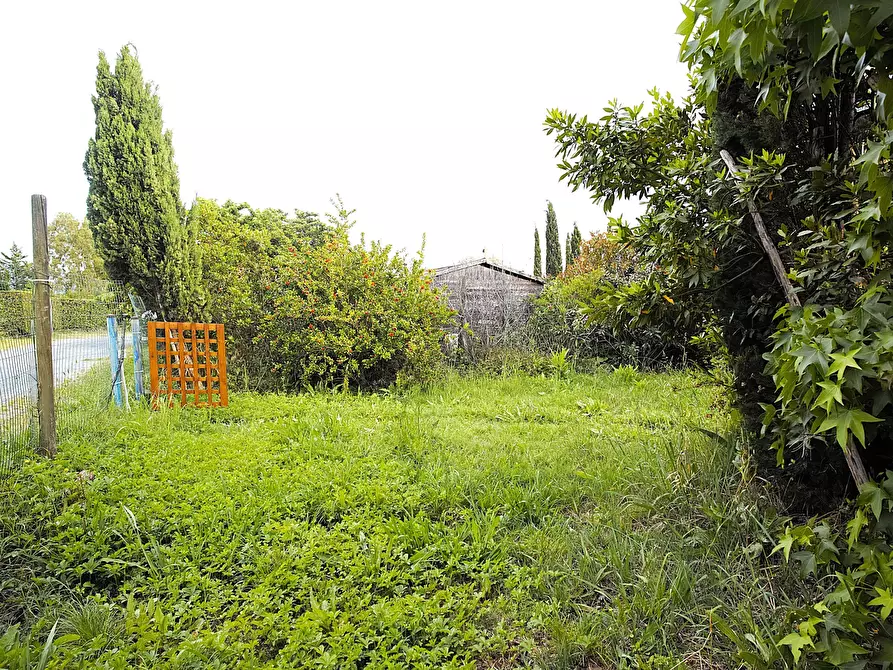 Immagine 19 di Trilocale in vendita  in Via Orcianese 6 6 a Collesalvetti