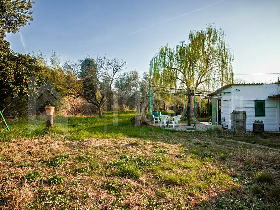 Immagine 5 di Terreno agricolo in vendita  in Via delle Sorgenti a Livorno