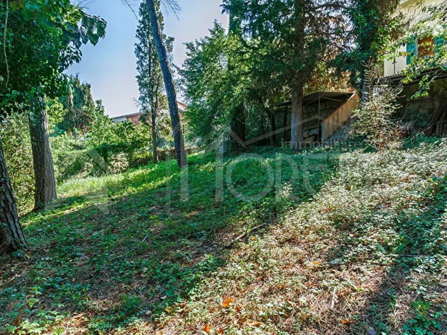 Immagine 102 di Villa in vendita  in Via Parrana San Martino a Collesalvetti