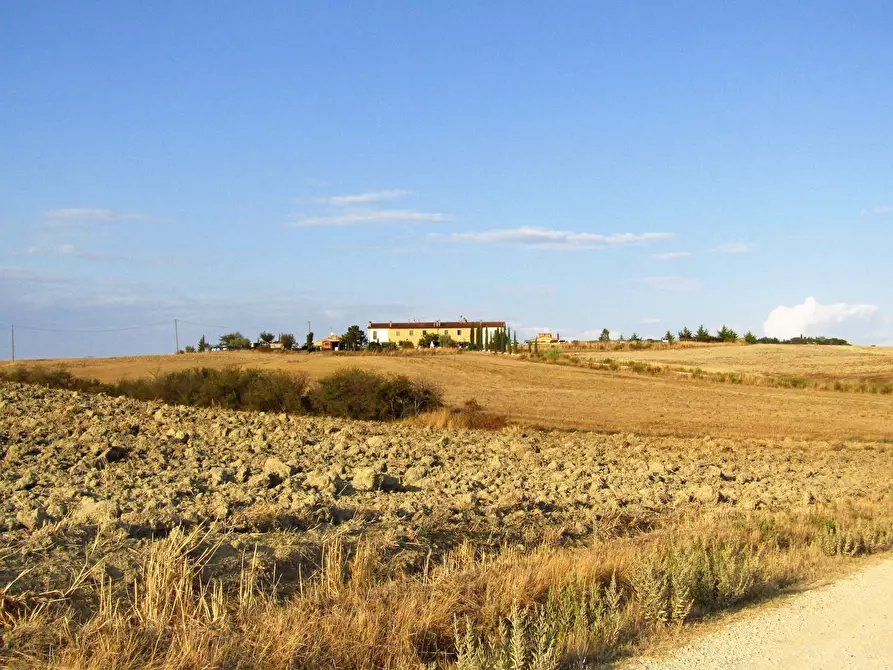 Immagine 20 di Trilocale in vendita  in Via Orcianese 6 6 a Collesalvetti