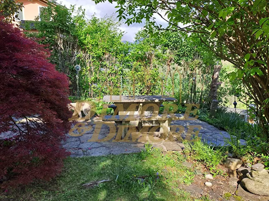 Immagine 33 di Baita in vendita  a Gurro
