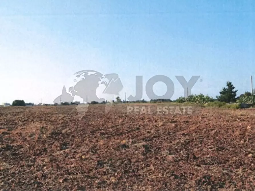 Immagine 6 di Terreno agricolo in vendita  in Via del Codibugnolo a Lecce