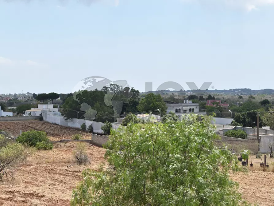 Immagine 8 di Terreno agricolo in vendita  in Via Carlo Donat Cattin 61 a Specchia