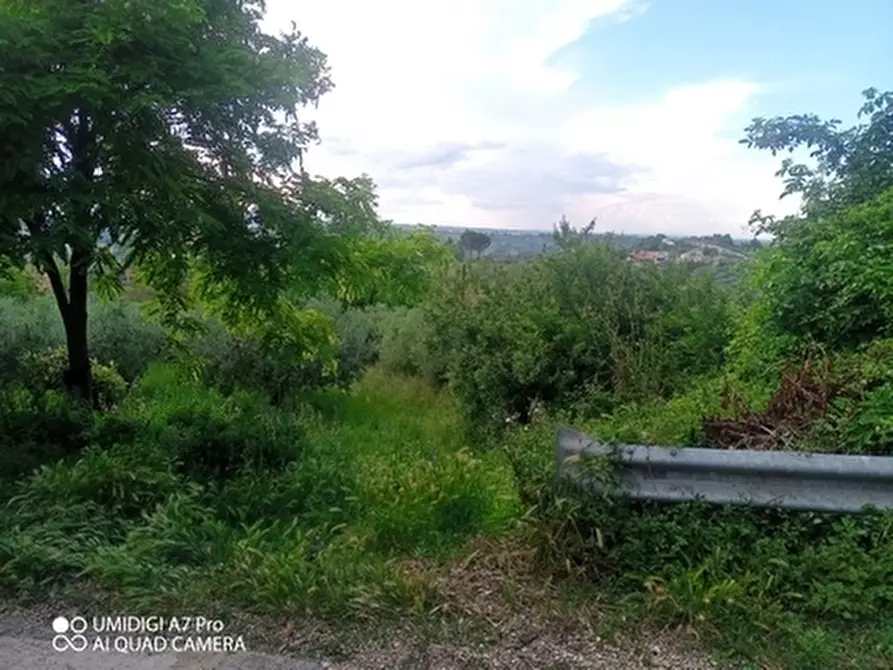 Immagine 16 di Terreno agricolo in vendita  in CONTRADA MARCIANESE a Lanciano