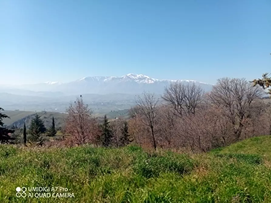 Immagine 10 di Rustico / casale in vendita  in CONTRADA MORGE a Castel Frentano