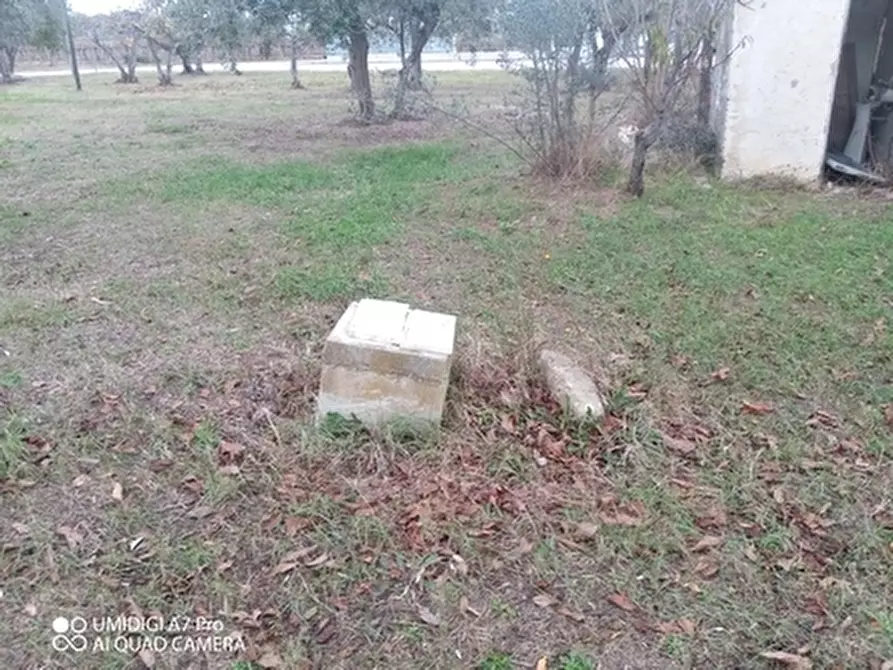 Immagine 17 di Rustico / casale in vendita  in VIA VECCHIA SCORCIOSA a Fossacesia