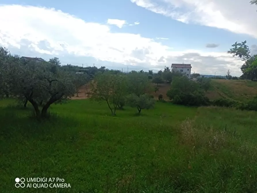 Immagine 9 di Terreno agricolo in vendita  in CONTRADA MARCIANESE a Lanciano