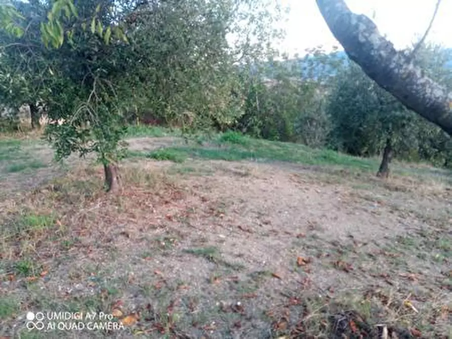 Immagine 32 di Rustico / casale in vendita  in VIA DE THOMASSIS a Castel Frentano