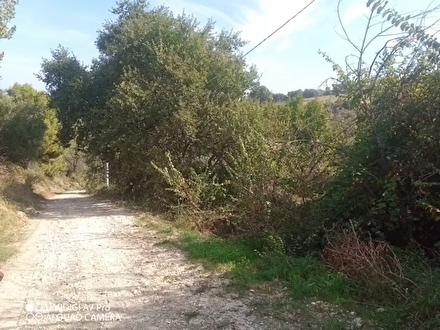 Immagine 4 di Porzione di casa in vendita  in LOC.POZZO a Paglieta