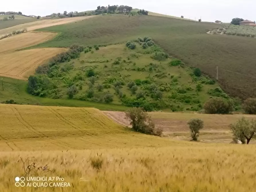 Immagine 1 di Terreno agricolo in vendita  in LOCALITA' CATOSCIO a Castel Frentano