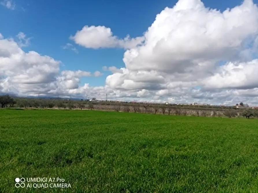 Immagine 15 di Terreno agricolo in vendita  a Fossacesia