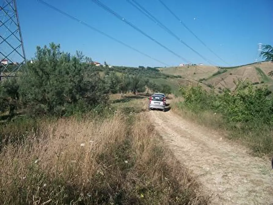 Immagine 6 di Terreno agricolo in vendita  in C.DA RIZZACORNO a Lanciano