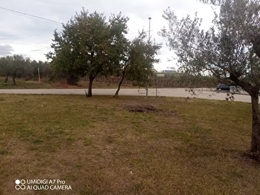 Immagine 2 di Rustico / casale in vendita  in VIA VECCHIA SCORCIOSA a Fossacesia