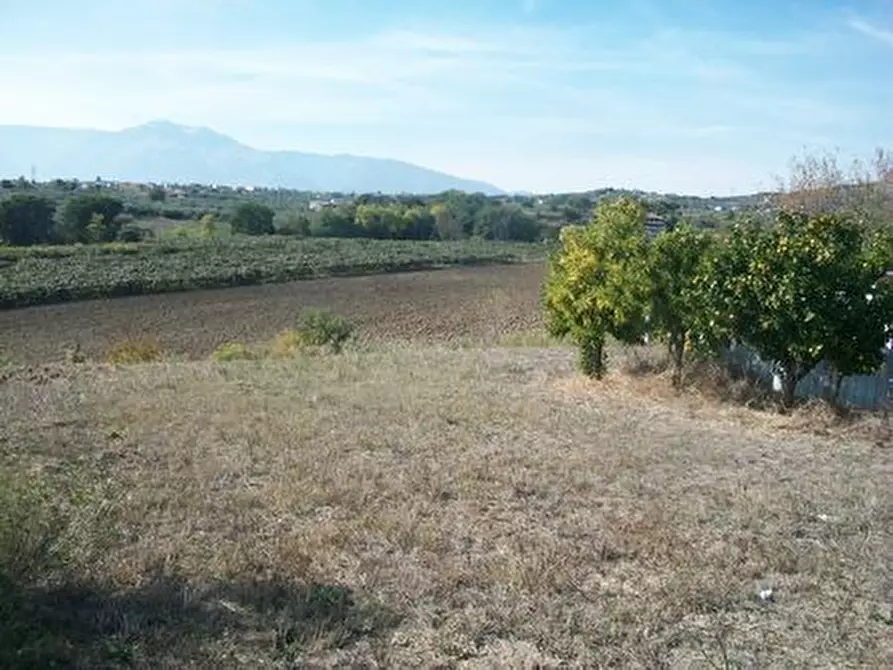 Immagine 1 di Terreno agricolo in vendita  in C.DA PASQUINI a Lanciano