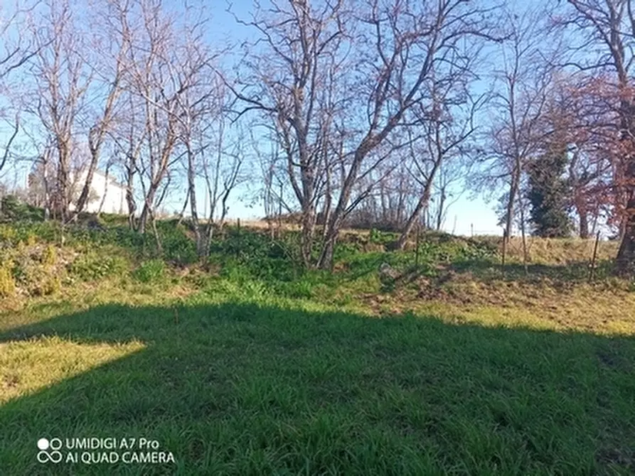 Immagine 9 di Rustico / casale in vendita  in CONTRADA MORGE a Castel Frentano