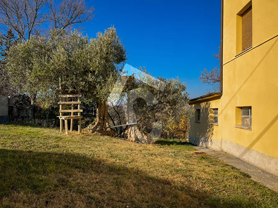 Immagine 53 di Rustico / casale in vendita  a Staffolo