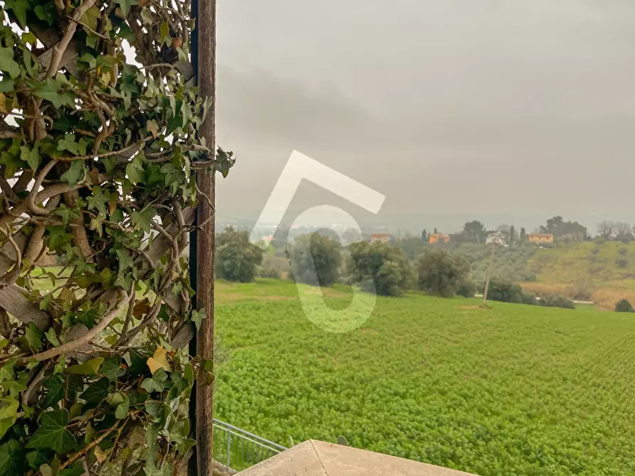 Immagine 3 di Trilocale in affitto  a Monsano