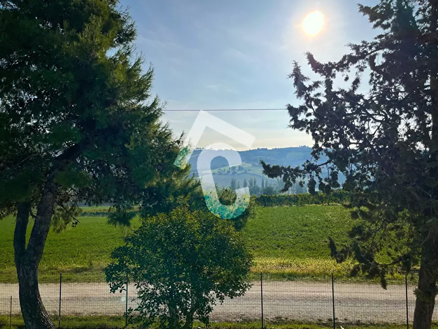 Immagine 30 di Rustico / casale in vendita  a Montecarotto