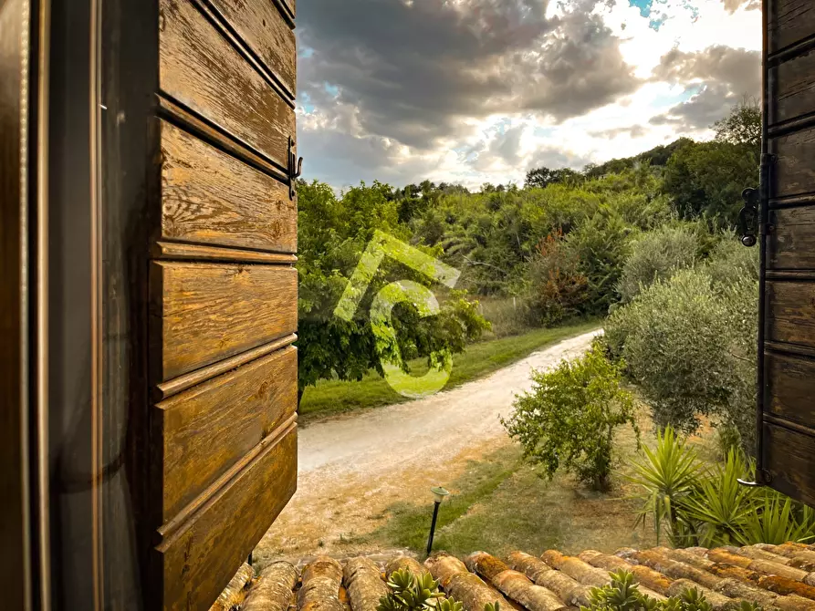 Immagine 22 di Rustico / casale in vendita  a Monte Roberto