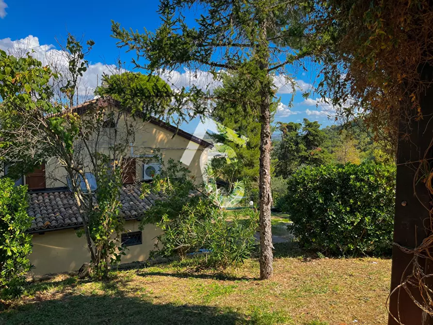 Immagine 46 di Casa bifamiliare in vendita  a Castelbellino